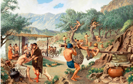 ancient vs. modern olive oil extraction