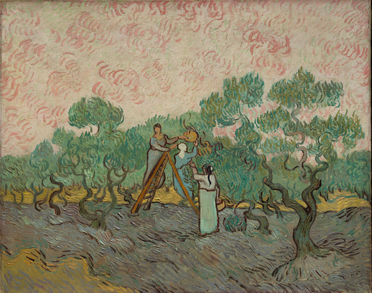 van gogh’s connection with the olive trees