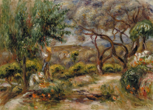 the olive grove that saved renoir
