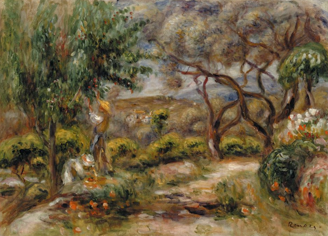 the olive grove that saved renoir