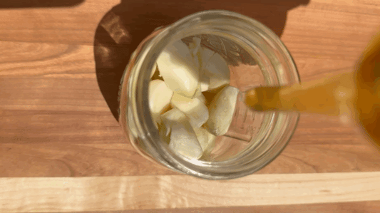 fermented garlic honey